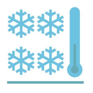 bring your dough to room temp