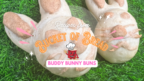 Bunny Buddy Buns