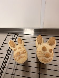 Bunny Buddy Buns