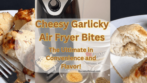 Cheesy Garlicky Air Fryer Bites: The Ultimate in Convenience and Flavor!
