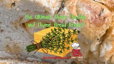 Cheddar and Thyme Bread