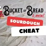 Get that sourdough flavor with this not-so-secret secret!